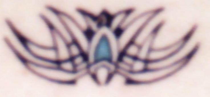 Close up of tribal on my back