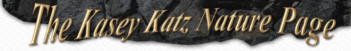 The Kasey Katz Nature Page