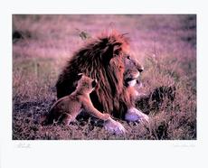 Buy this poster at allwall.com