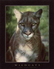 Buy this poster at allwall.com