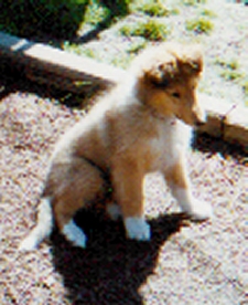 Photo taken by Karen Hudson. Copyright, All rights reserved.