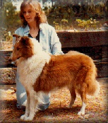 Marchwinds Princess Diana