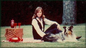 marchwinds blue ovation