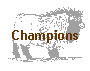 Champions