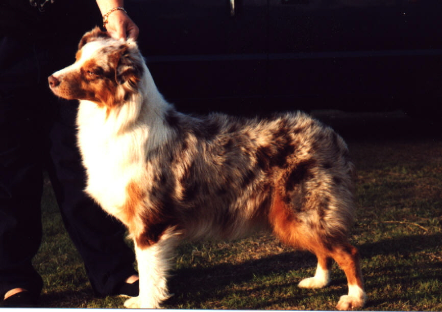 Soundtrack's New Moon