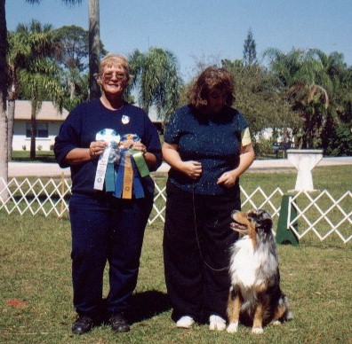 CAN CH. Ministick's St. Patrick's Day, CD, CGC, HIT Obedience award