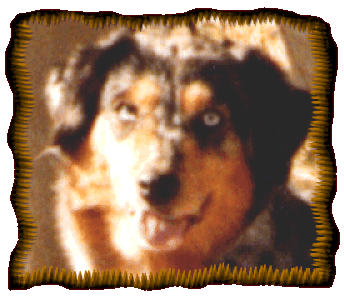  CH. Promise of Odyssey