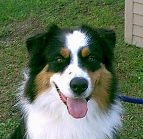 Soundtrack's Critics Choice, DNA-CP, CGC