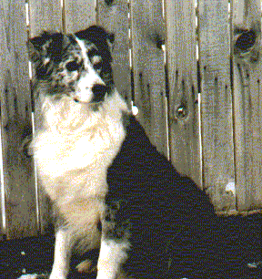 CH. Space of Windsor, CD