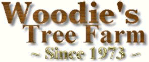 Woodie's Tree Farm