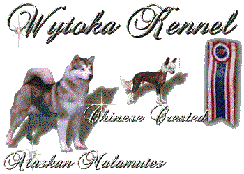 Wytoka Alaskan Malamutes & Chinese Cresteds