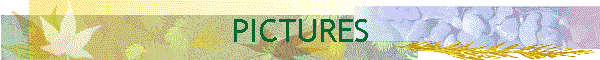 PICTURES