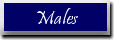 Males