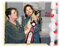 Carolina Sophistocats