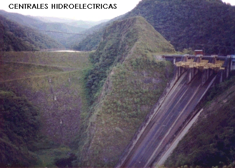 Image33.jpg (166049 bytes)