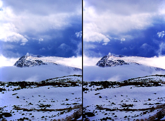 Click here to go to the official Rocky Mtn. Natl. Park web site.