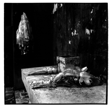 oki16.jpg (70877 bytes)