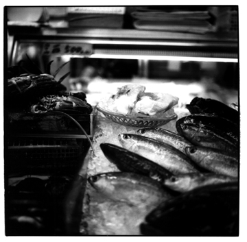 oki9.jpg (71247 bytes)