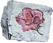 Rose In Stone