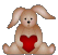 love bunny