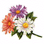 tridaisies