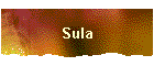Sula