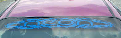 neon decal.jpg (18086 bytes)