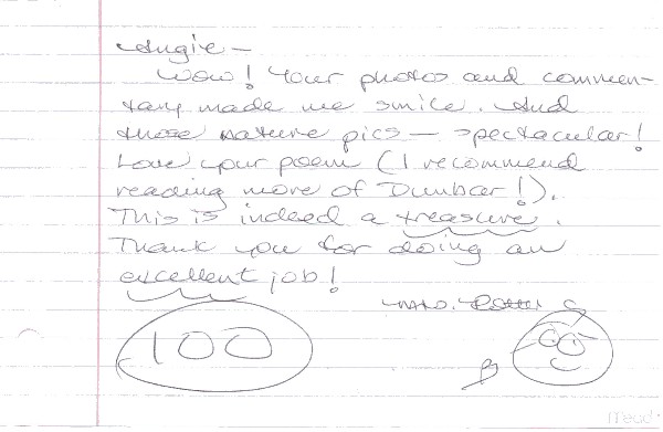 My grade and teacher's response.