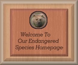 Welcome To HawkFlying's And MorningMist's Endangered Species Homepage
