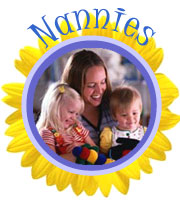 Introduction to Nanny Express