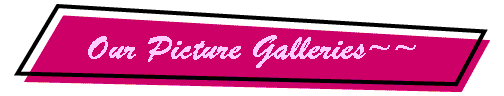 Our Picture Galleries~~