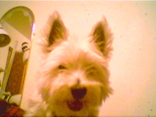 One of My Best Friends