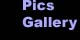 Pics Gallery