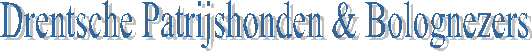 Drentsche Patrijshonden & Bolognezers