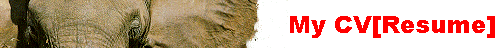  My CV[Resume] 