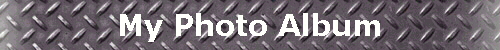 My Photo Album 