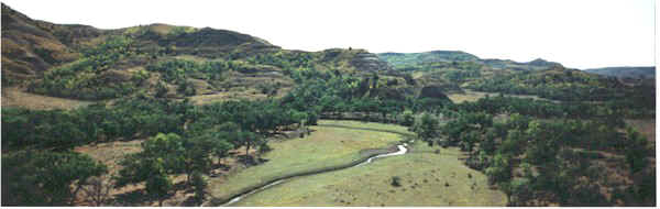 A Beautiful Morning on Jones Creek