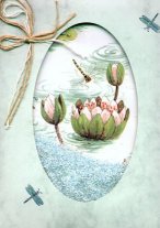 schudkaart met vijverlelie