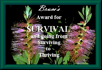 IT IS OKAY TO TALK ABOUT 'IT'