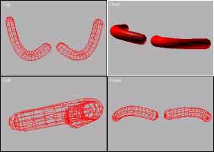 cejas.jpg (10090 bytes)