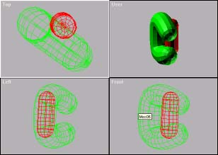 oreja.jpg (13821 bytes)