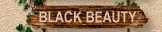 Lakeside Black Beauty