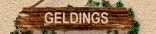 Geldings