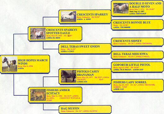 March Winds Pedigree