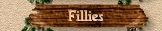 Fillies