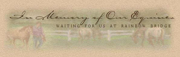 In Memory of Our Beloved Equines