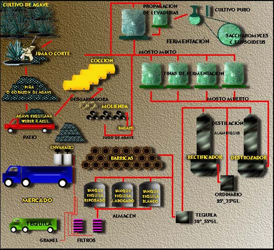 Proceso de Elaboración