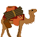 camel