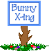bunny xing