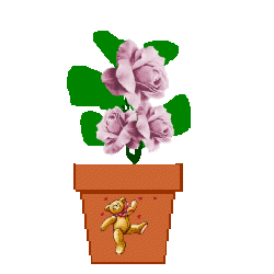 The Site Fights Spirit Flowers dancing teddy